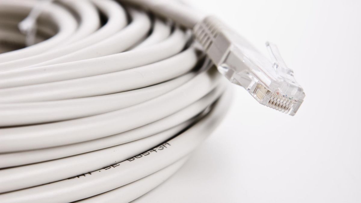 enlarge the image: Foto eines zusammengerollten LAN-Kabels